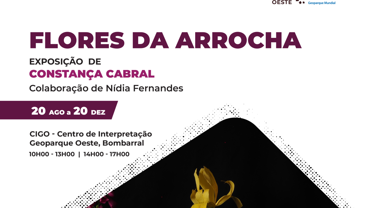 Imagem ilustrativa: Nova exposição “Flores da Arrocha” no CIGO-Centro de Interpretação Geoparque Oeste