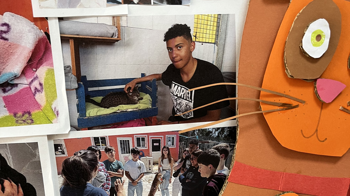 Imagem ilustrativa: Festa do Animal na Escola da Freiria