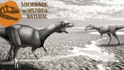 Imagem ilustrativa: Município de Torres Vedras promove Geoturismo com visita pelo período Jurássico Superior