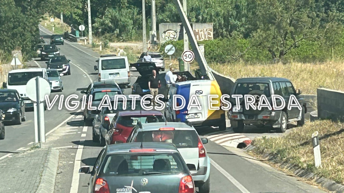 Foto: Vigilantes DA Estrada / Sofia Raquel
